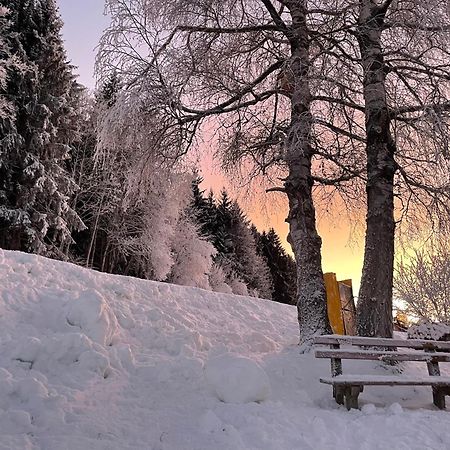 Luserblick Гаус-ім-Енншталь Екстер'єр фото
