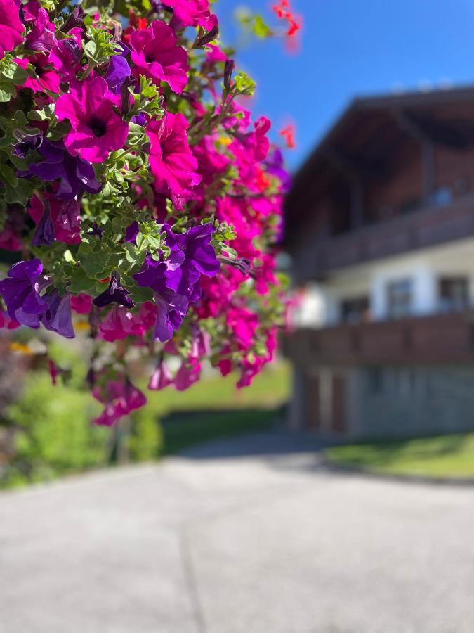 Luserblick Гаус-ім-Енншталь Екстер'єр фото